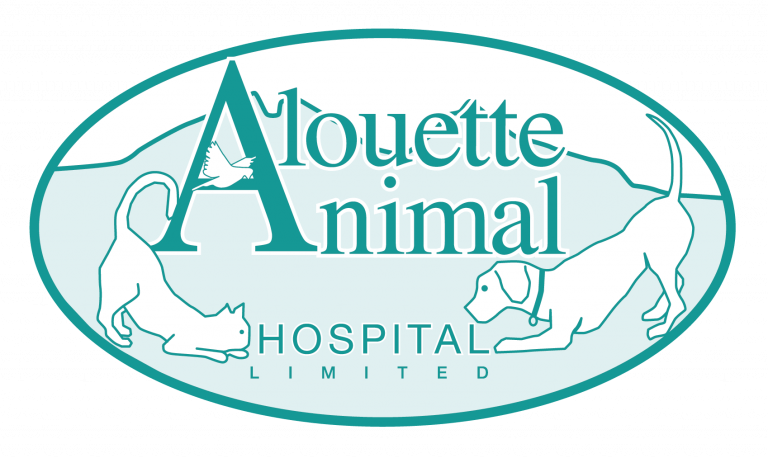 Logo of Alouette Animal Hospital in Maple Ridge, British Columbia